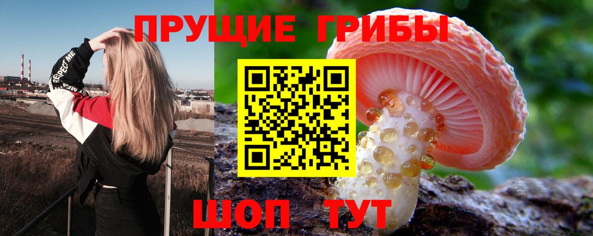Галлюциногенные грибы мухоморы Усть-Илимск