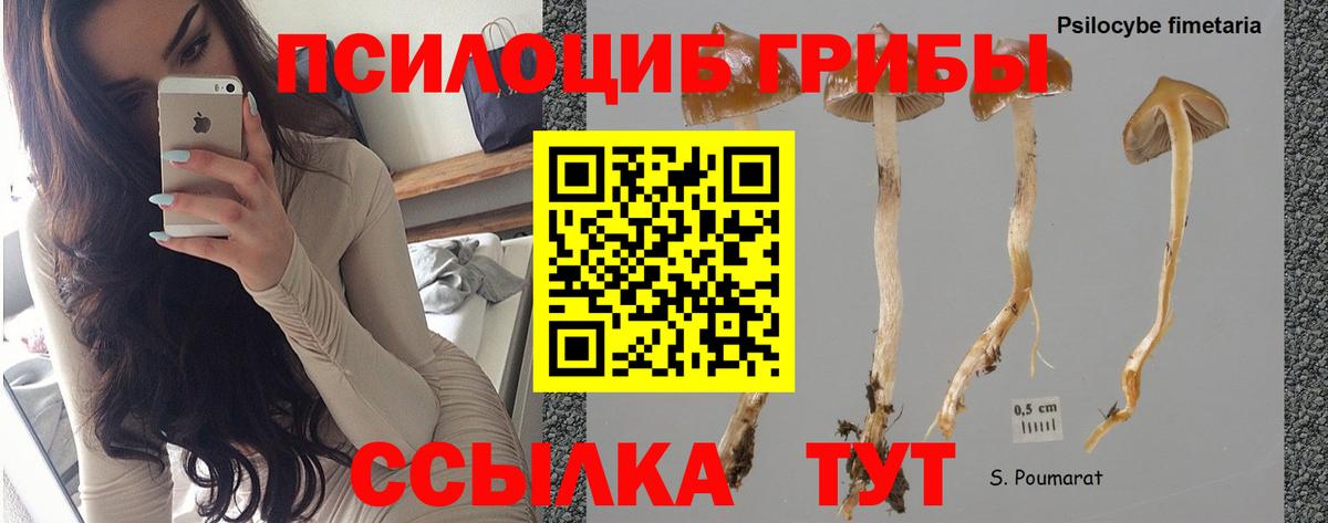Псилоцибиновые грибы Magic Shrooms  Вход с VPN  Усть-Илимск 